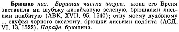 img/02/02-228_1137_Брюшко.jpg