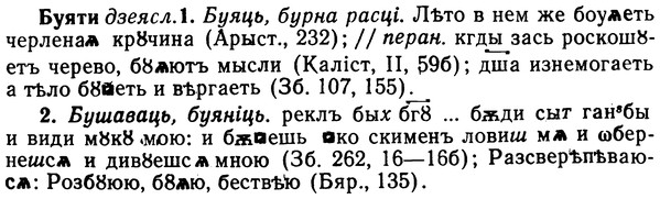 img/02/02-260_1339_Буяти.jpg