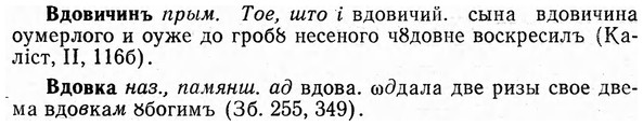 img/03/03-039_0271_Вдовичинъ.jpg