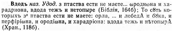 img/03/03-040_0278_Вдодъ.jpg