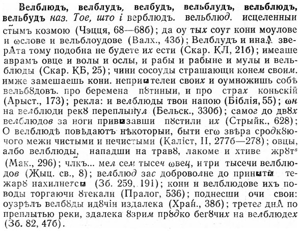 img/03/03-076_0427_Велблюдъ.jpg