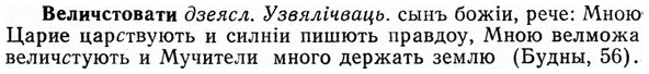 img/03/03-095_0529_Величстовати.jpg