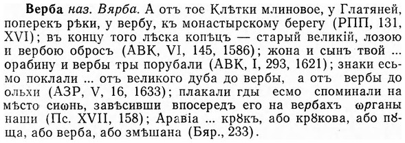 img/03/03-114_0652_Верба.jpg