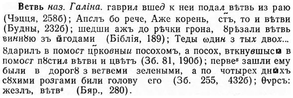 img/03/03-155_0844_Ветвь.jpg