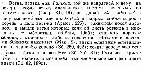 img/03/03-156_0849_Ветка.jpg