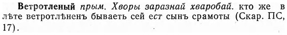 img/03/03-158_0866_Ветротленый.jpg