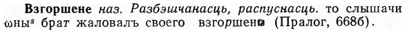img/03/03-192_1116_Взгоршене.jpg