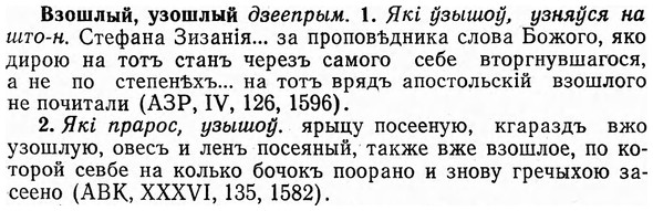img/03/03-215_1276_Взошлый.jpg