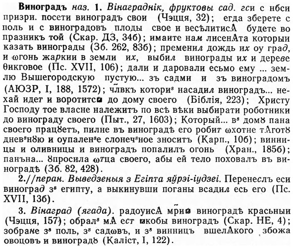 img/03/03-287_1539_Виноградъ.jpg