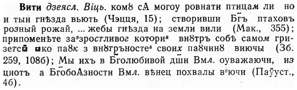 img/03/03-296_1620_Вити.jpg