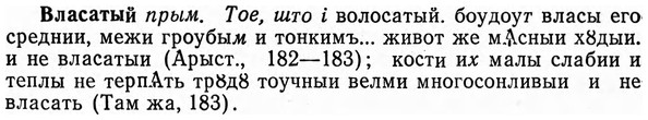 img/04/04-019_0067_Власатый.jpg