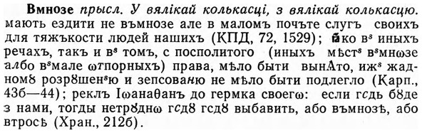 img/04/04-052_0243_Вмнозе.jpg