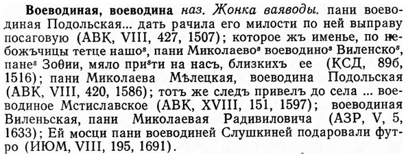 img/04/04-085_0456_Воеводиная.jpg