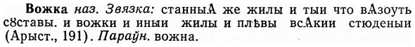 img/04/04-088_0486_Вожка.jpg