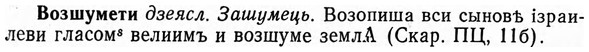 img/04/04-117_0739_Возшумети.jpg