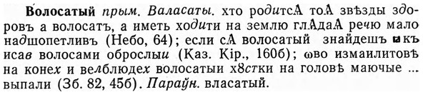 img/04/04-142_0861_Волосатый.jpg