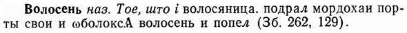 img/04/04-142_0865_Волосень.jpg