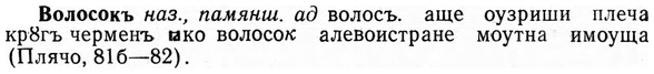 img/04/04-142_0871_Волосокъ.jpg