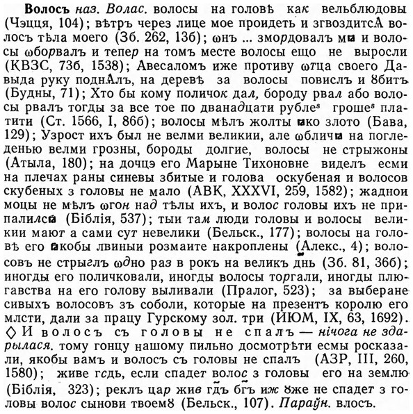 img/04/04-145_0878_Волосъ.jpg
