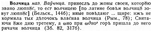 img/04/04-156_0938_Волчица.jpg