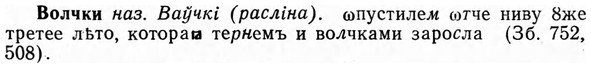 img/04/04-156_0939_Волчки.jpg