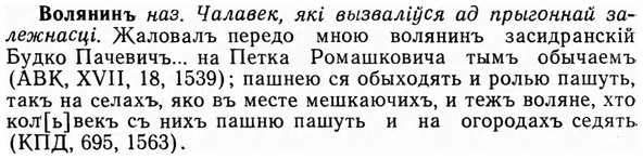 img/04/04-176_0961_Волянинъ.jpg