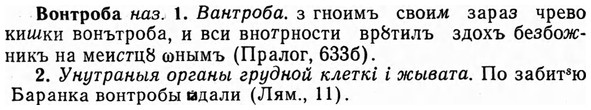 img/04/04-181_0992_Вонтроба.jpg