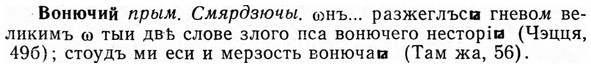 img/04/04-181_0997_Вонючий.jpg