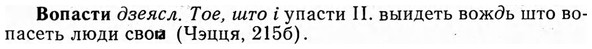 img/04/04-183_1015_Вопасти.jpg