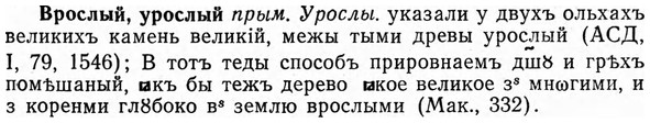 img/04/04-261_1634_Врослый.jpg