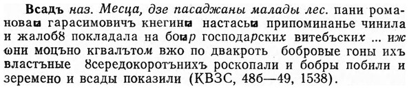 img/04/04-267_1695_Всадъ.jpg