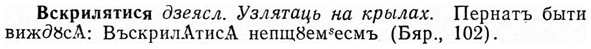 img/04/04-290_1865_Вскрилятися.jpg