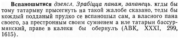img/04/04-294_1895_Вспаношытися.jpg
