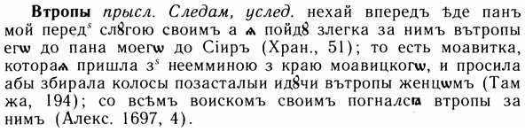 img/05/05-051_0377_Втропы.jpg