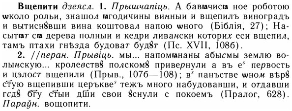 img/05/05-072_0563_Вщепити.jpg
