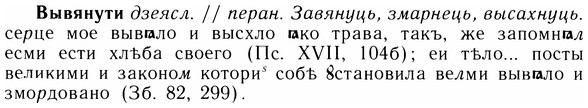 img/05/05-134_0835_Вывянути.jpg