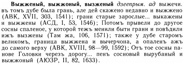 img/05/05-182_1031_Выжженый.jpg