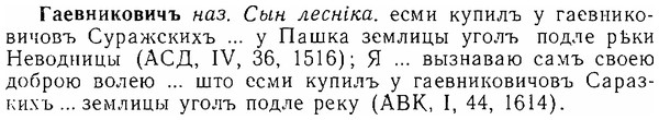 img/06/06-240_1230_Гаевниковичъ.jpg