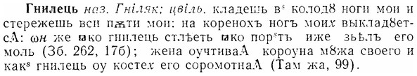img/07/07-012_0042_Гнилець.jpg