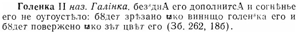 img/07/07-032_0150_Голенка.jpg