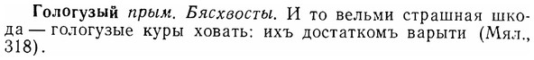 img/07/07-041_0182_Гологузый.jpg