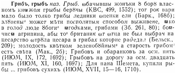 img/07/07-157_0755_Грибъ.jpg