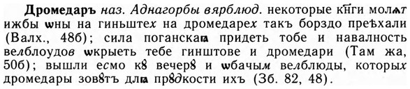 img/09/09-078_0487_Дромедаръ.jpg