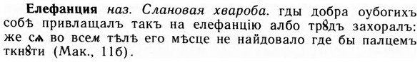 img/09/09-201_1291_Елефанция.jpg