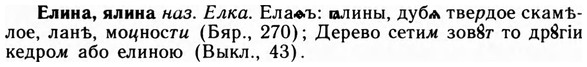 img/09/09-202_1300_Елина.jpg