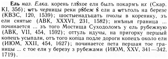 img/09/09-204_1315_Ель.jpg