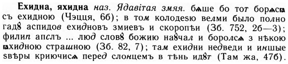 img/09/09-234_1520_Ехидна.jpg