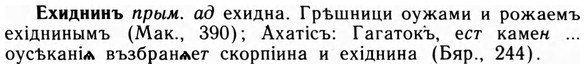 img/09/09-234_1521_Ехиднинъ.jpg