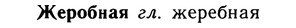 img/10/10-005_0021_Жеробная.jpg