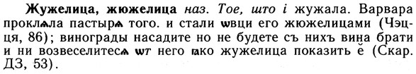 img/10/10-055_0272_Жужелица.jpg